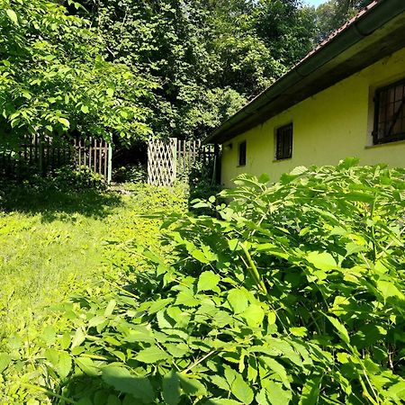 Apartman Lucie Liběchov Exterior foto